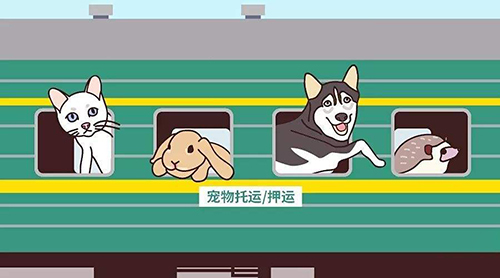 想带宠物猫一起乘火车出行,较为安全稳妥的方法是?支付宝蚂蚁庄园5月9日答案截图