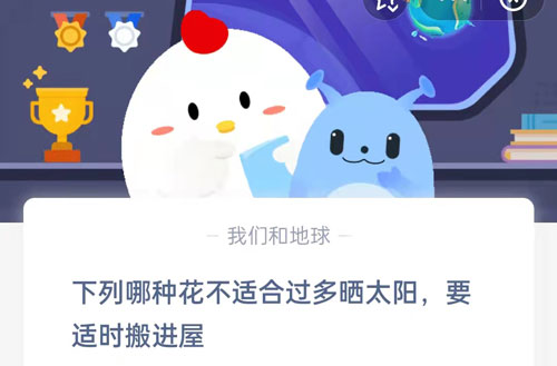 下列哪种花不适合过多晒太阳,要适时搬进屋?支付宝蚂蚁庄园5月18日答案