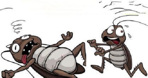 猜一猜:为什么平时打蟑螂很难打中?支付宝蚂蚁庄园5月27日答案截图