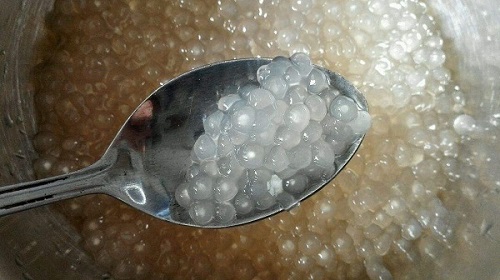 甜点“西米露”里的西米,制作它的原料是怎么来的?支付宝蚂蚁庄园5月27日答案截图