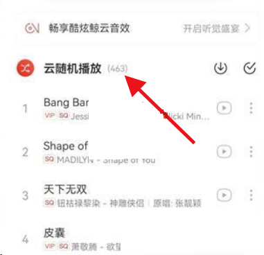 网易云音乐云随机怎么关闭?网易云音乐云随机关闭教程截图
