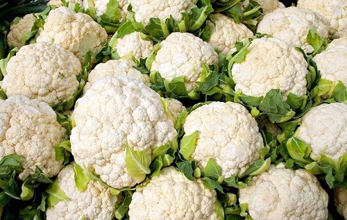 人们平时吃的花椰菜,主要食用的是它的哪个部分?支付宝蚂蚁庄园6月22日答案截图