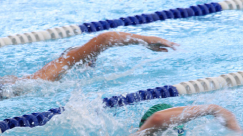 夏天游泳入水前,很多人喜欢用泳池水擦洗胸部四肢等,是为了?支付宝蚂蚁庄园6月30日答案 截图