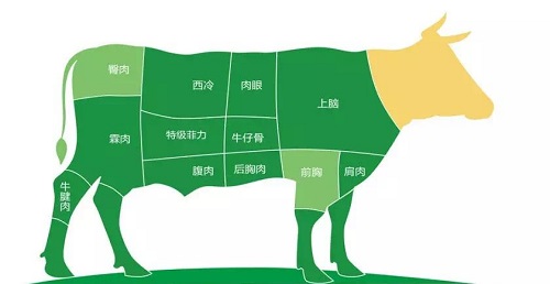 小鸡宝宝考考你,美味的肉眼牛排其实是牛什么部位的肉?支付宝蚂蚁庄园7月5日答案截图