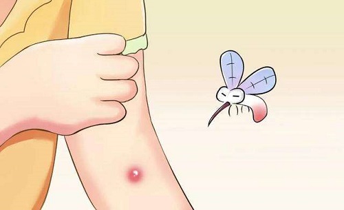 孕妇和宝宝更容易招蚊子,真是这样吗?支付宝蚂蚁庄园7月6日答案截图