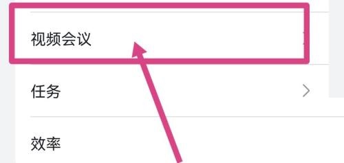飞书怎么开启视频会议字幕?飞书开启视频会议字幕教程截图