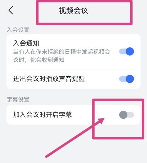飞书怎么开启视频会议字幕?飞书开启视频会议字幕教程截图