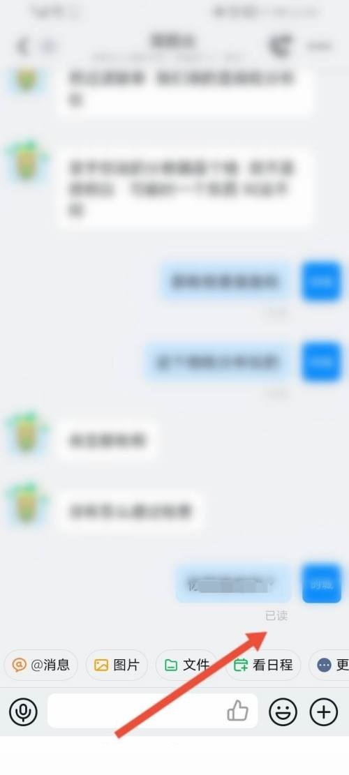 钉钉怎么避免已读?钉钉避免已读教程截图