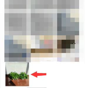 凯叔讲故事怎么更换头像?凯叔讲故事更换头像方法截图