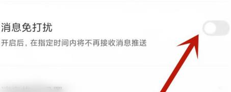 boss直聘如何开启消息免打扰?boss直聘开启消息免打扰的方法截图