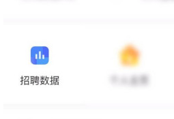 boss直聘如何查看更多信息?boss直聘查看更多信息的方法截图