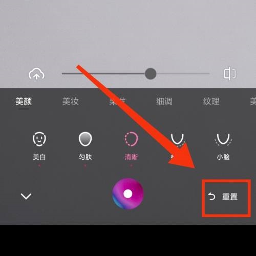 一甜相机怎么重置参数?一甜相机重置参数教程截图