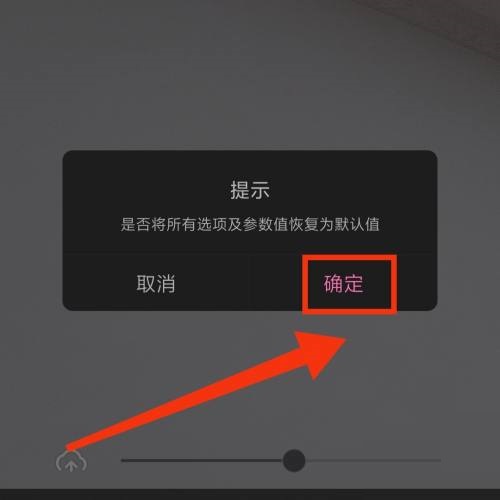 一甜相机怎么重置参数?一甜相机重置参数教程截图