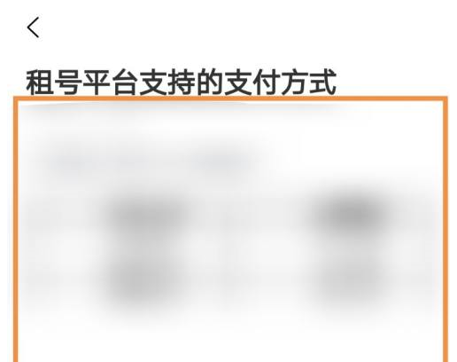 U号租如何查看支持的支付方式?U号租查看支持的支付方式的方法截图
