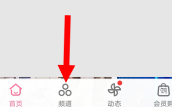 如何在哔哩哔哩安卓版查找“电音”频道?在哔哩哔哩安卓版查找“电音”频道的方法截图