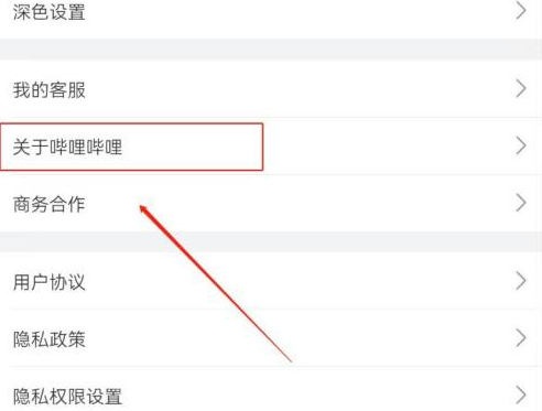 哔哩哔哩怎么查看版本?哔哩哔哩查看版本的方法截图