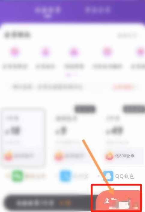 飒漫画怎么开通会员?飒漫画开通会员教程截图