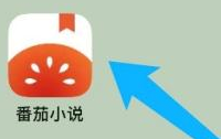 番茄小说怎么设置性别?番茄小说设置性别的方法