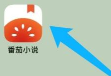 番茄小说怎样设置行间距?番茄小说设置行间距的方法