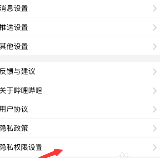 哔哩哔哩怎么允许个性化展现广告推荐?哔哩哔哩允许个性化展现广告推荐的方法截图