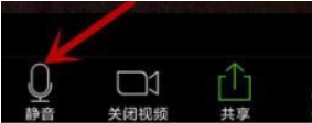Zoom视频会议如何关闭我的麦克风?Zoom视频会议关闭我的麦克风的方法截图