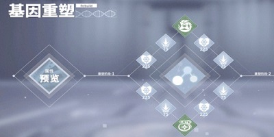 《终末阵线》角色基因重塑玩法介绍