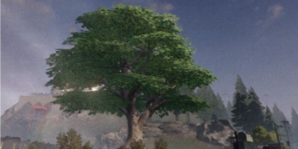 黎明觉醒丘陵藏宝图-打车奇遇