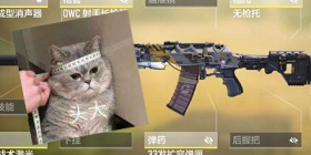 新赛季用什么枪好？使命召唤手游武器推荐