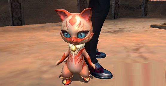 无神之界最强宠物怎么排-无神之界最强宠物排行介绍