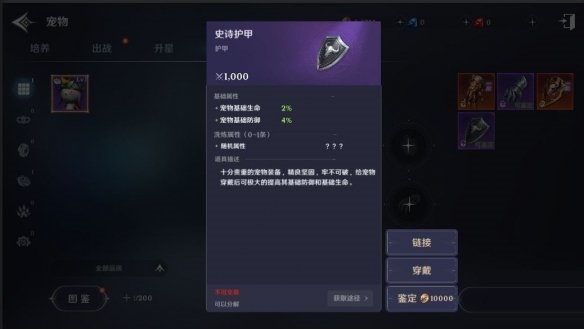 无神之界宠物装备怎么洗炼-无神之界宠物装备洗炼攻略