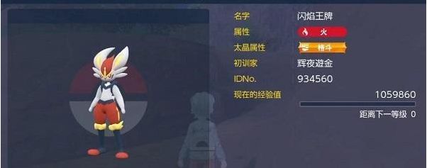 宝可梦朱紫闪焰王牌怎么打 单刷闪焰王牌攻略大全[多图]图片1