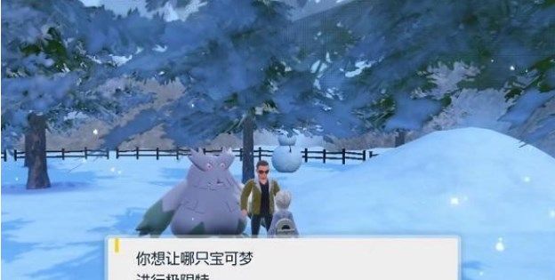 宝可梦朱紫闪焰王牌怎么打 单刷闪焰王牌攻略大全[多图]图片8