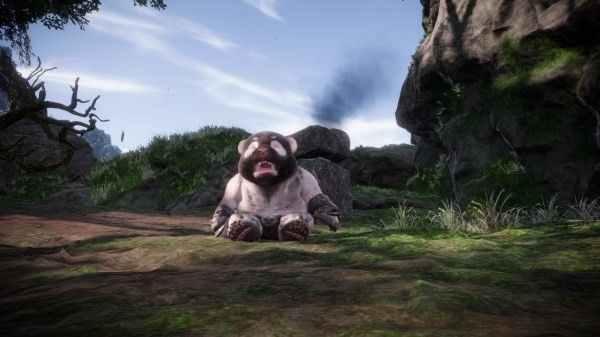 卧龙苍天陨落熊猫怎么打 啮铁熊猫最新打法攻略[多图]