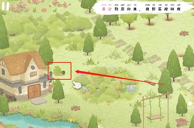 四季之春树苗位置在哪里